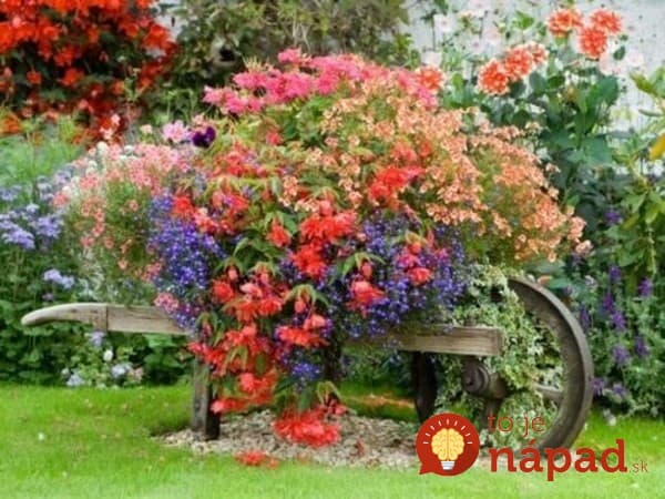 beautiful-flowers-in-the-garden
