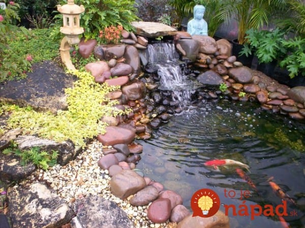 backyard-pond-water-garden-111-e1410180250904
