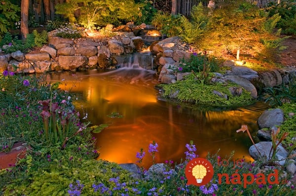 backyard-pond-water-garden-311-e1410180149803
