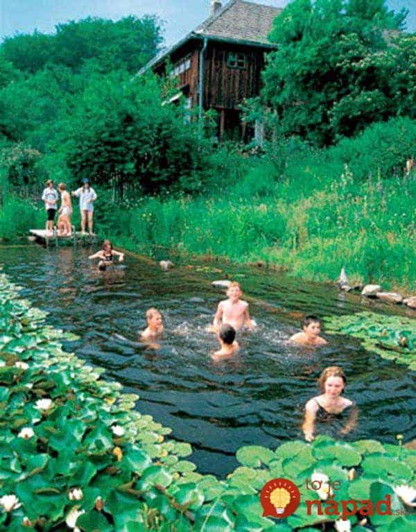 backyard-natural-swimming-pool-10