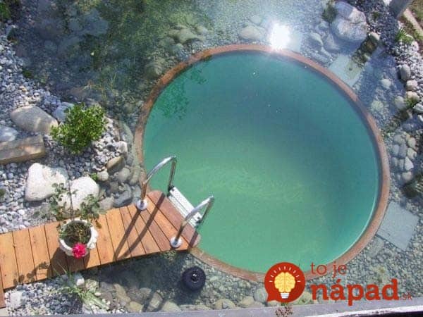 backyard-natural-swimming-pool-12
