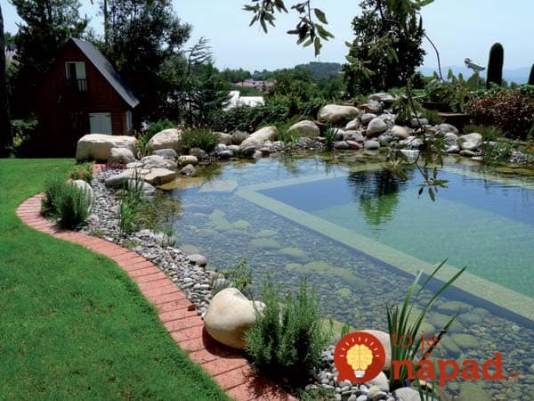 backyard-natural-swimming-pool-14