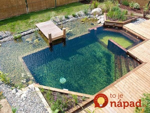 backyard-natural-swimming-pool-16