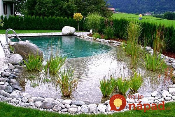 backyard-natural-swimming-pool-17