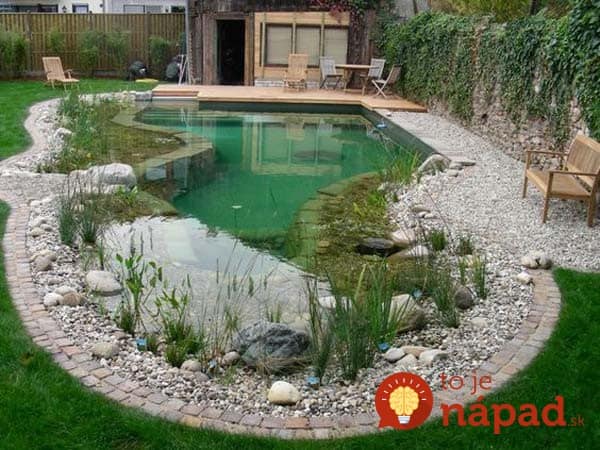 backyard-natural-swimming-pool-2