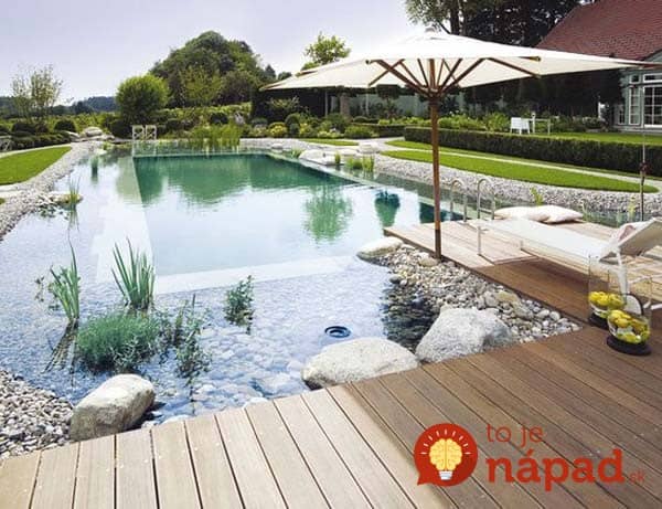 backyard-natural-swimming-pool-20