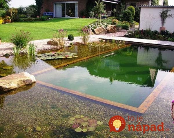 backyard-natural-swimming-pool-24