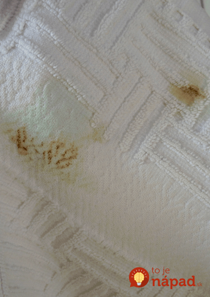 carpet-stain-removal5-min