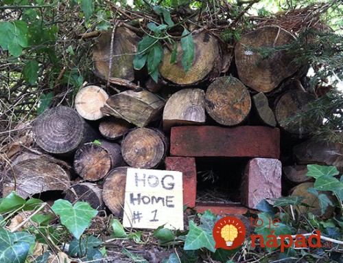 hog-home-brick-600-500x383