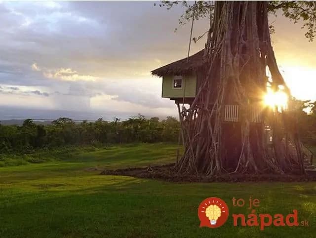 Zvonku vyzerá ako detský domček na strome, ale počkajte, až nazriete dnu!