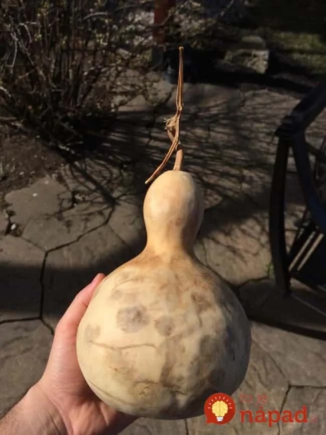 Tento farmár premenil vysušenú tekvicu na hotové umelecké dielo. Pozrite sa, ako to dokázal!