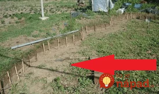 Otec pripravil pre svoju rodinu úžasné prekvapenie. Pozrite sa, čo pre nich urobil!