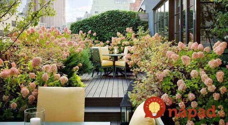 16 úžasných strešných záhrad