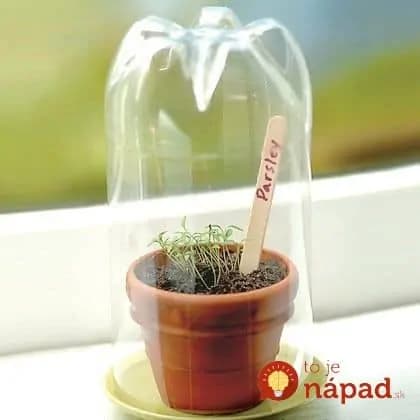 11 kreatívnych spôsobov, ako využiť plastové flaše