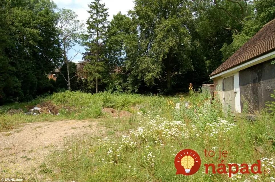 Chcel dom, ktorý susedia nikdy neuvida. Architekti mu postavili TOTO!