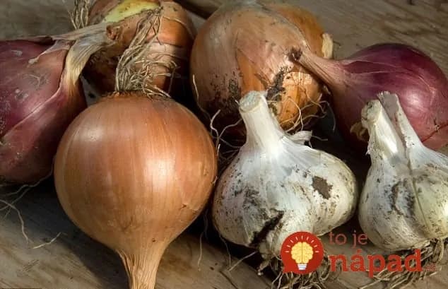Vydržia o celé mesiace dlhšie: Jednoduchý tip, ako výrazne predĺžiť čerstvosť cibule a cesnaku!