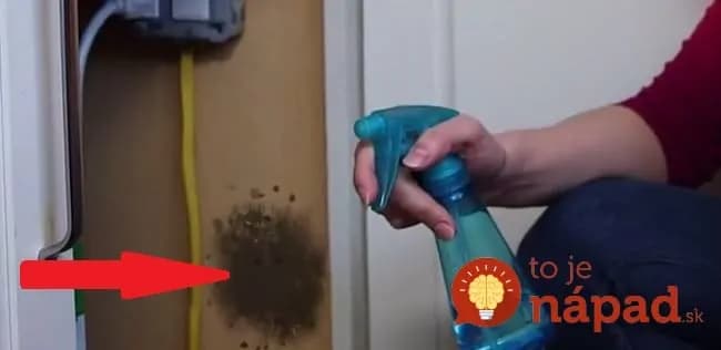 1 surovina pre odstránenie plesní, perfektnú dezinfekciu a odstránenie škvŕn