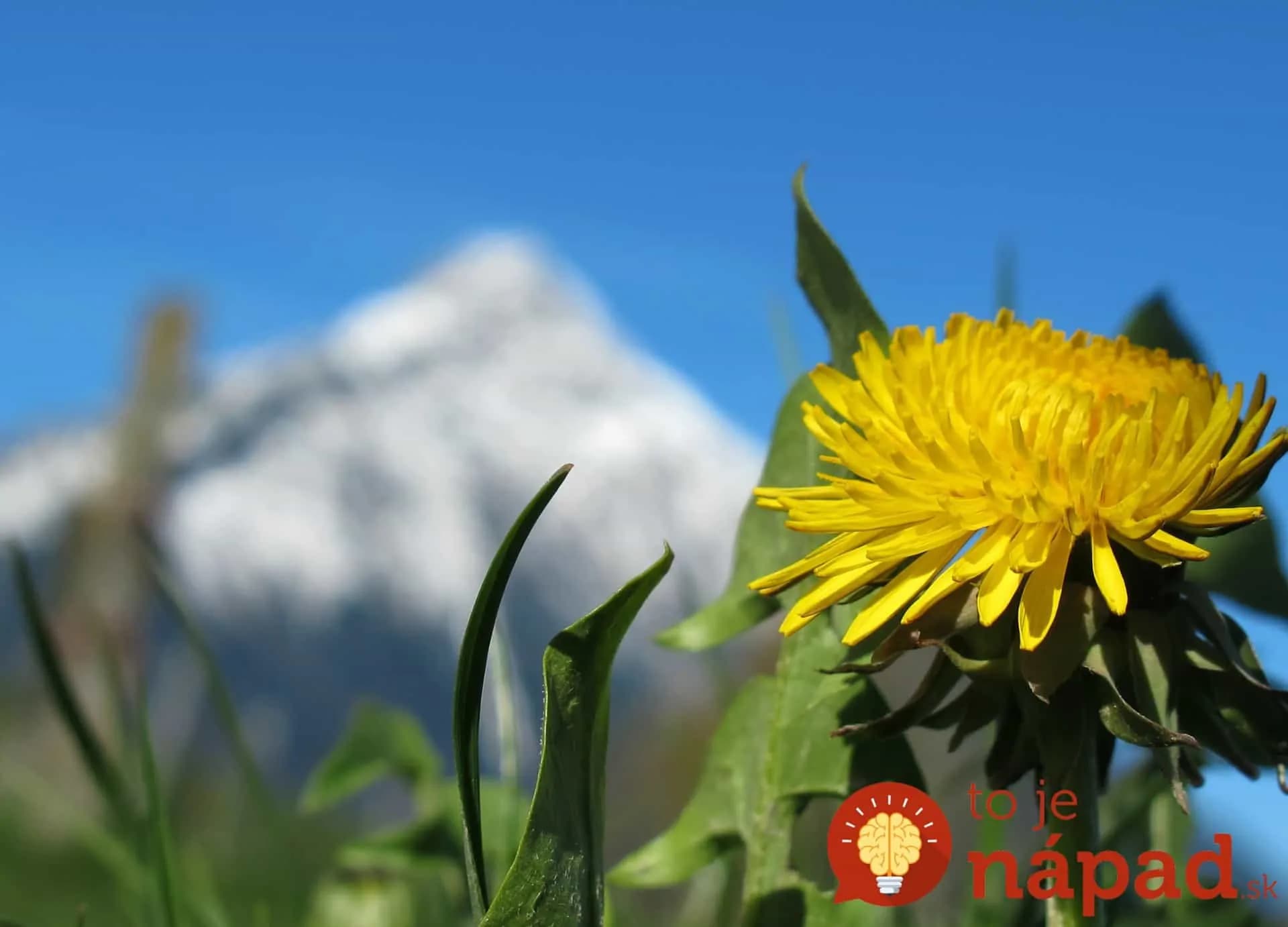 Jar definitívne klope na dvere. Ako si vychutnať najobľúbenejšie obdobie v roku skutočne naplno?