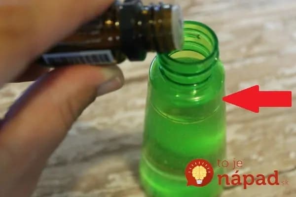 1 prírodná surovina dokáže z vášho bytu vyhnať chrobáky a ďalší hmyz