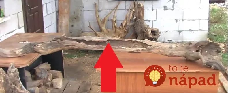 Vzal suchý konár a naplnil ho farebnými kryštálmi. Vytvoril vec, ktorú by chcel mať doma každý!