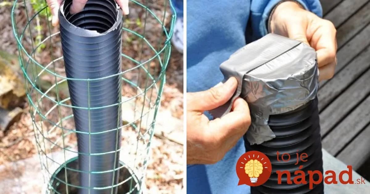 Priniesol domov odpadovú rúru a kus pletiva. O pár dní mal na terase túto nádheru!