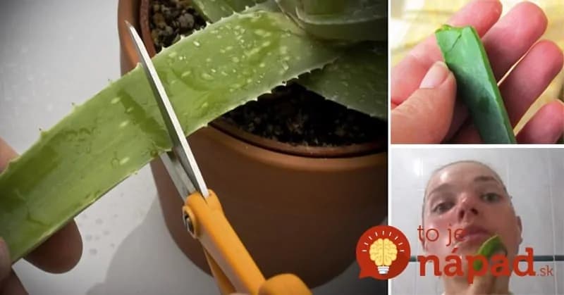 TOTO dokáže list Aloe vera za 15 minút. Stačí, ak si ho priložíte na tvár!