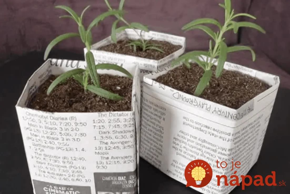 Najlacnejšie črepníky na sadenice, ktoré môžete zasadiť priamo do pôdy