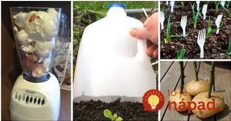 15 trikov, vďaka ktorým bude vaša záhrada najkrajšia v okolí