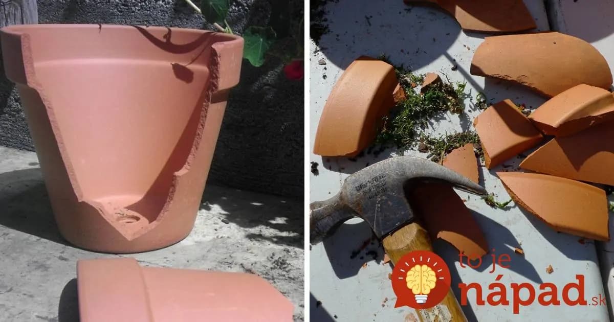 Namiesto toho, aby rozbitý kvetináč vyhodila, prišla s geniálnym nápadom. Inšpiruje aj vás!