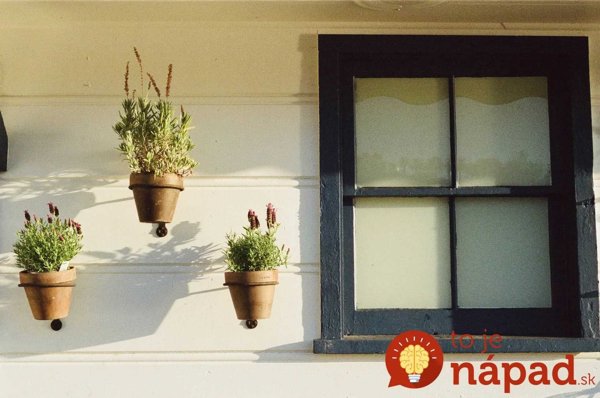 Ako sa starať o drevené okná (prichádza najlepší čas na ich údržbu)