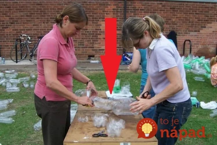 Títo ľudia zhromažďujú plastové plastové fľaše na svojich pozemkoch: Ich úroda im vďaka tomuto nápadu rastie jedna radosť!