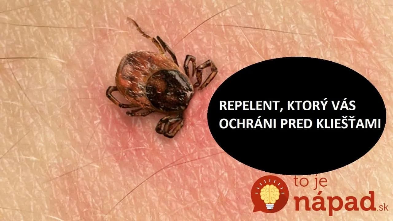 Vyhnú sa vám oblúkom: Vyrobte si domáci repelent a ochráňte seba, svojich blízkych aj domácich miláčikov!