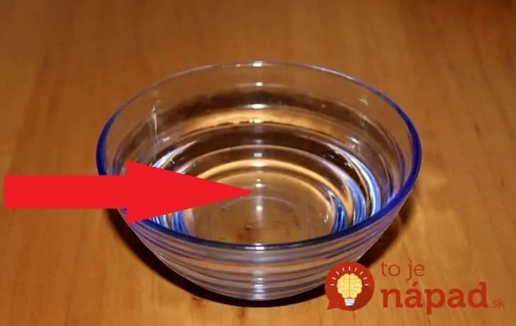 Viete, prečo by ste mali na balkón položiť misku s vodou? Je to dôležitejšie, ako si myslíte!