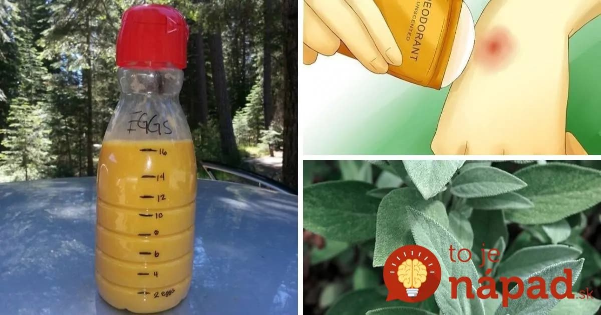 Chystáte sa na výlet do prírody? Tieto triky by ste rozhodne mali poznať!