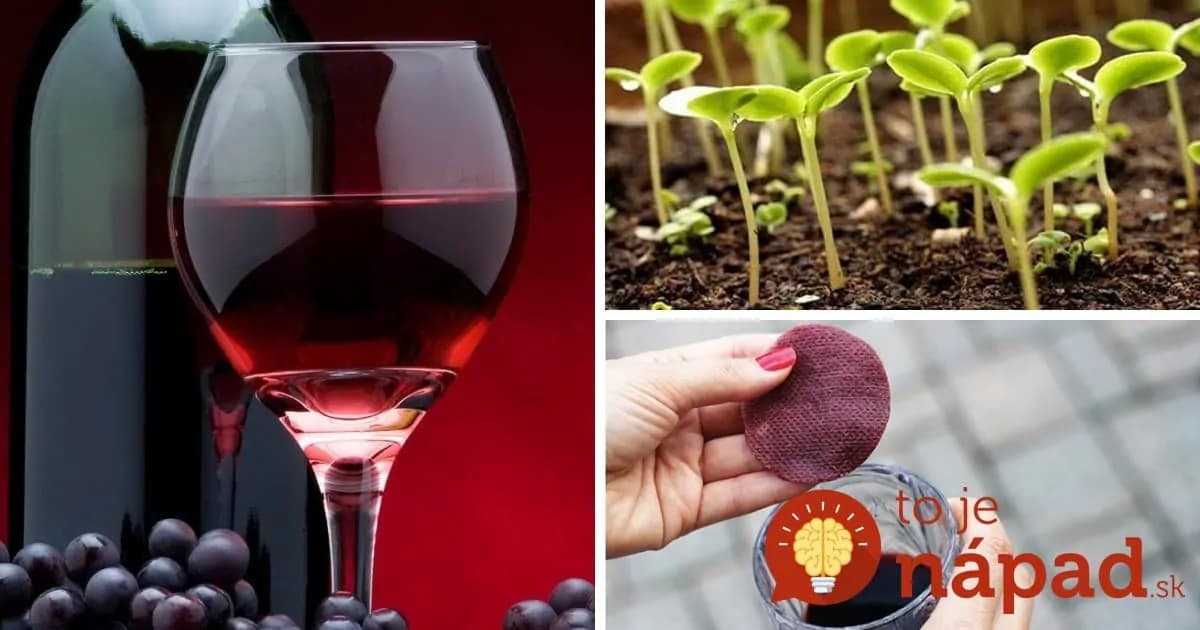 8 vecí, ktoré ste o víne netušili: Takto vám pomôže doma aj v záhrade!