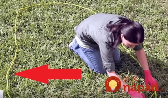 Túžite po záhradnom jazierku? Táto žena vám ukáže najjednoduchší spôsob, ako ho vytvoriť!