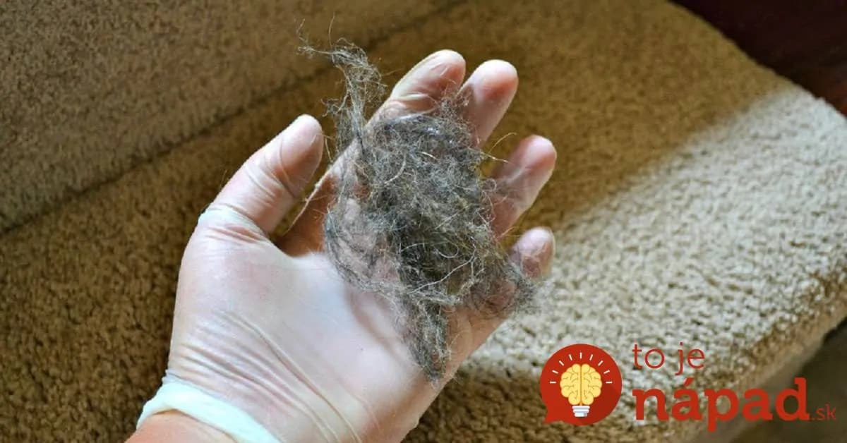 Ako odstrániť zvieracie chlpy z každého povrchu vo vašej domácnosti?