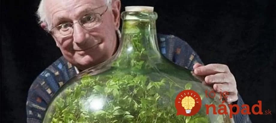 Muž nepolieval rastlinu už 40 rokov. Napriek tomu sa jej výborne darí!