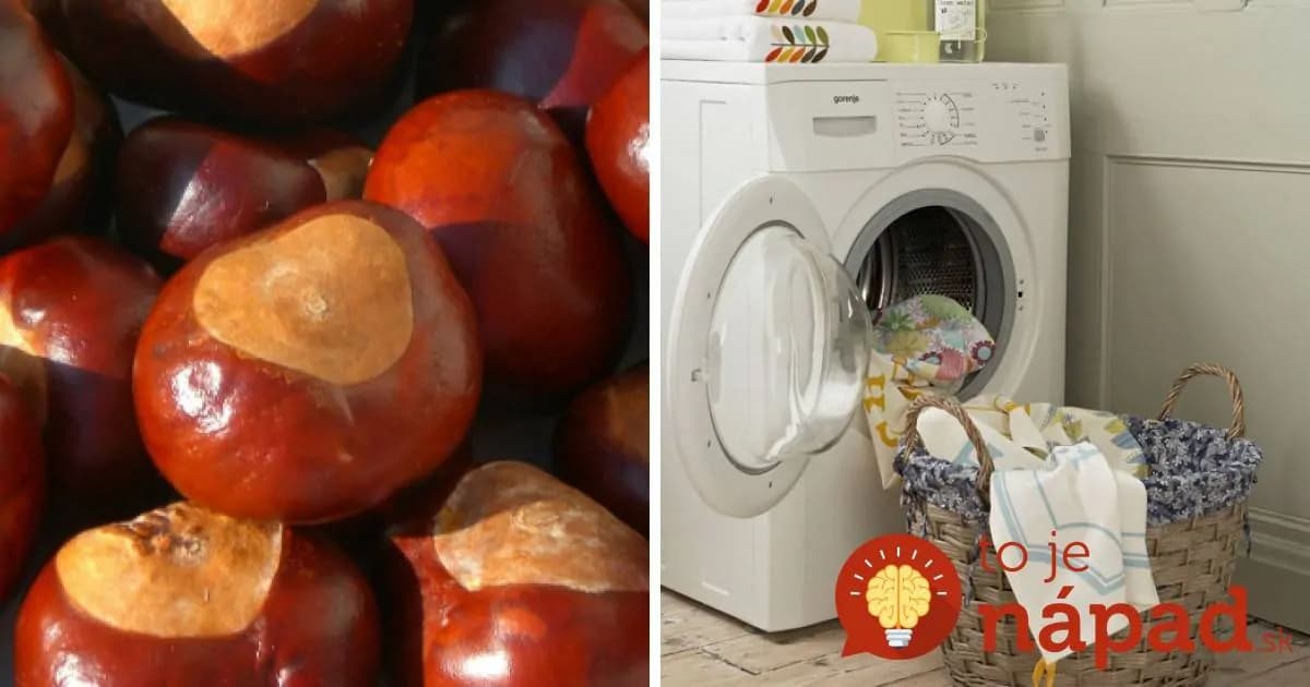 Nezabudnite si nazbierať veľkú zásobu gaštanov. Neuveríte, ako sa vám budú hodiť v domácnosti