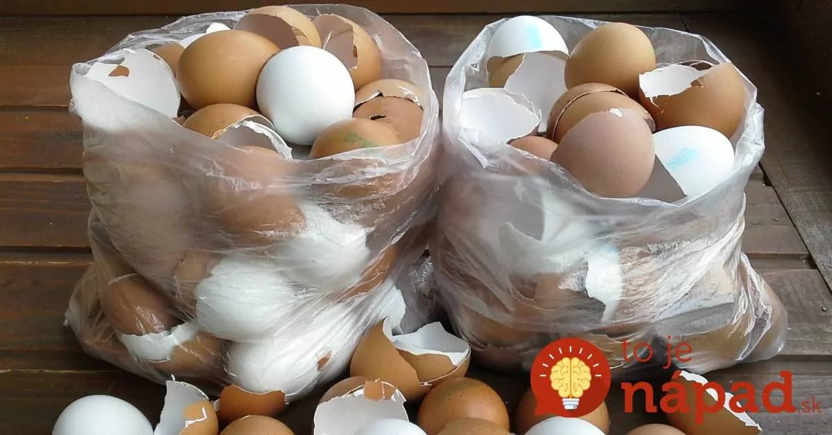 Žena už celé mesiace nevyhadzuje vaječné škrupiny. Neuveríte, na čo ich používa