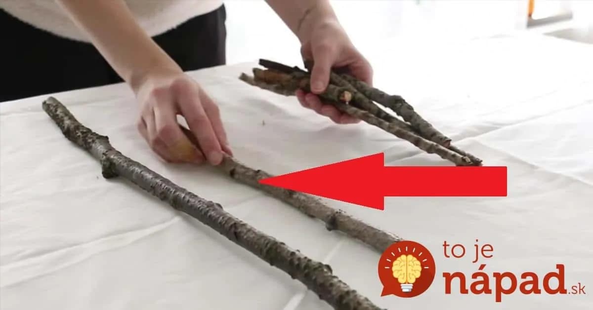 Nezaberá žiaden priestor v byte a predsa vyzerá úžasne: Tento vianočný stromček môžete mať celkom zadarmo!