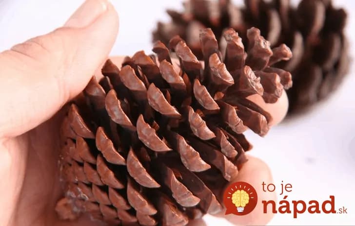 Najkrajšie zimné dekorácie zo šišiek, ktoré v obchodoch nekúpite!