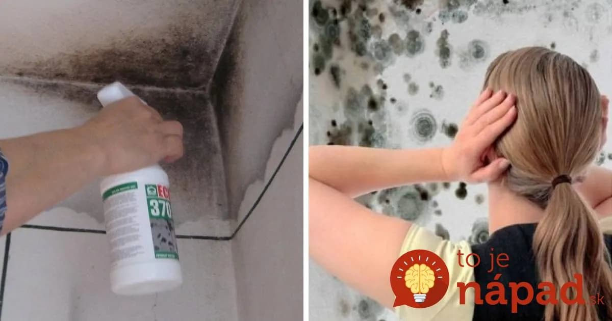 Už žiadne plesnivé steny. Slovák prišiel s revolučným nápadom!