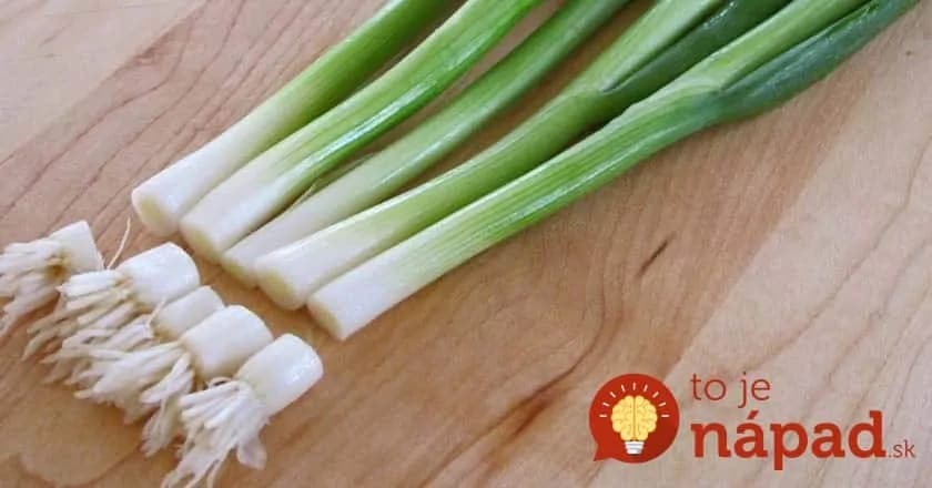 Vitamíny z parapety: Dopestujte si nekonečnú zásobu čerstvej zelenej cibuľky doma a bez práce!