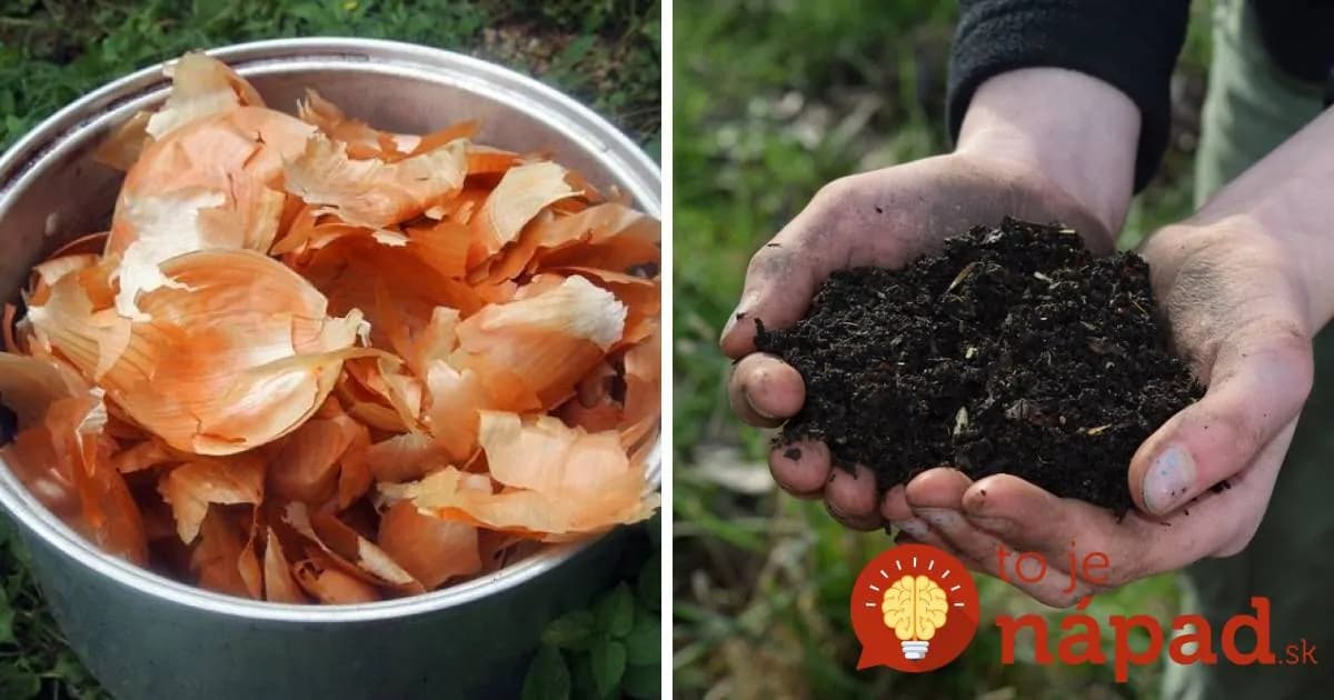 Úžasný dôvod, prečo som do svojej záhrady rozsypala cibuľové šupky a mali by ste aj vy!