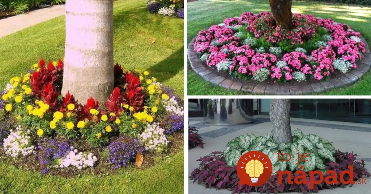 Máte v záhrade strom? Vysaďte okolo neho kvety, tento nápad celkom zmení vašu záhradu!