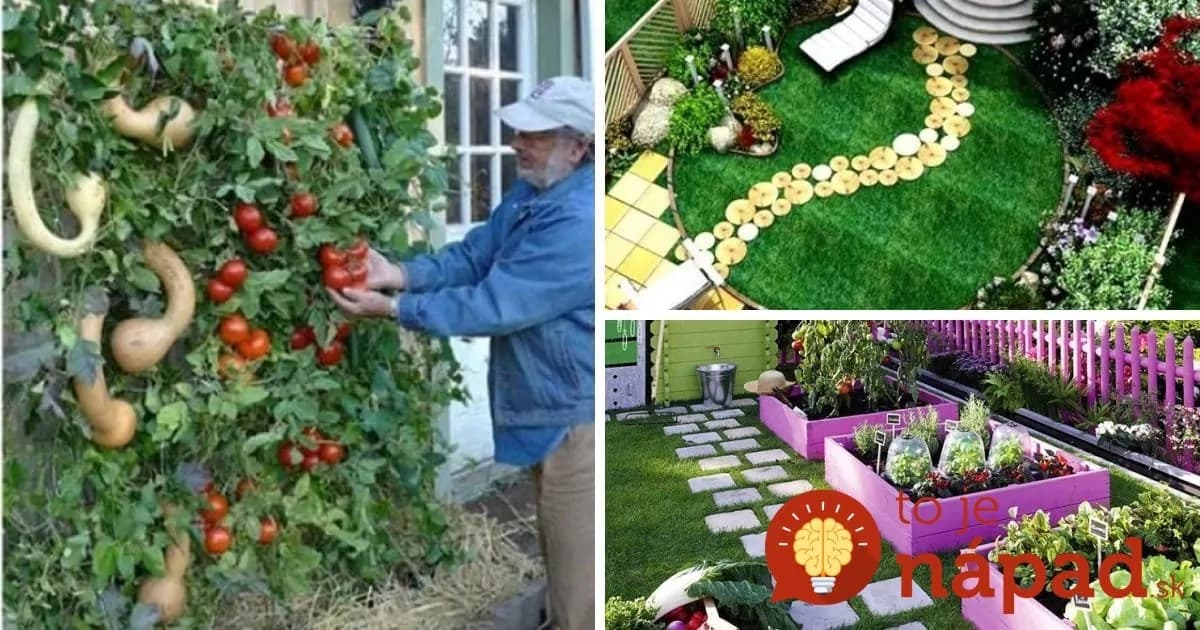 Profi záhradník ukázal 27 šikovných nápadov, ako perfektné využiť malý dvor aj predzáhradku: Už vieme, čo pripraviť na túto sezónu!