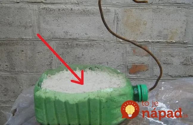 Plastovú fľašu rozrezala a naplnila vlhkým pieskom: To, čo vymyslela, chcú teraz na záhrade všetci susedia!