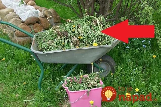 Neminiete takmer ani cent a ochránite celú záhradu: Kto vie toto, u toho nemá burina najmenšiu šancu!