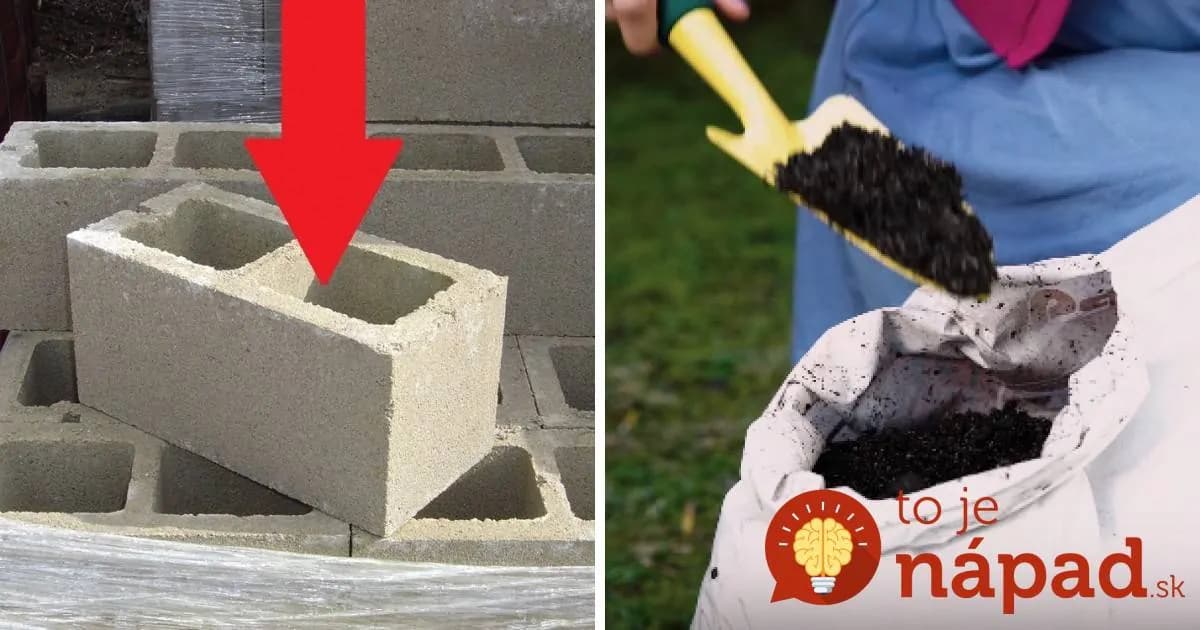 Stačilo im len pár kvádrov, zemina a lepidlo: Nápad šikovných žien zatieni aj skúsených majstrov!